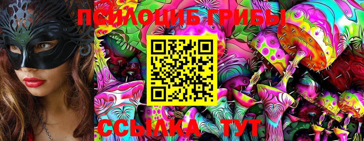 Псилоцибиновые грибы Psilocybe Новый Уренгой